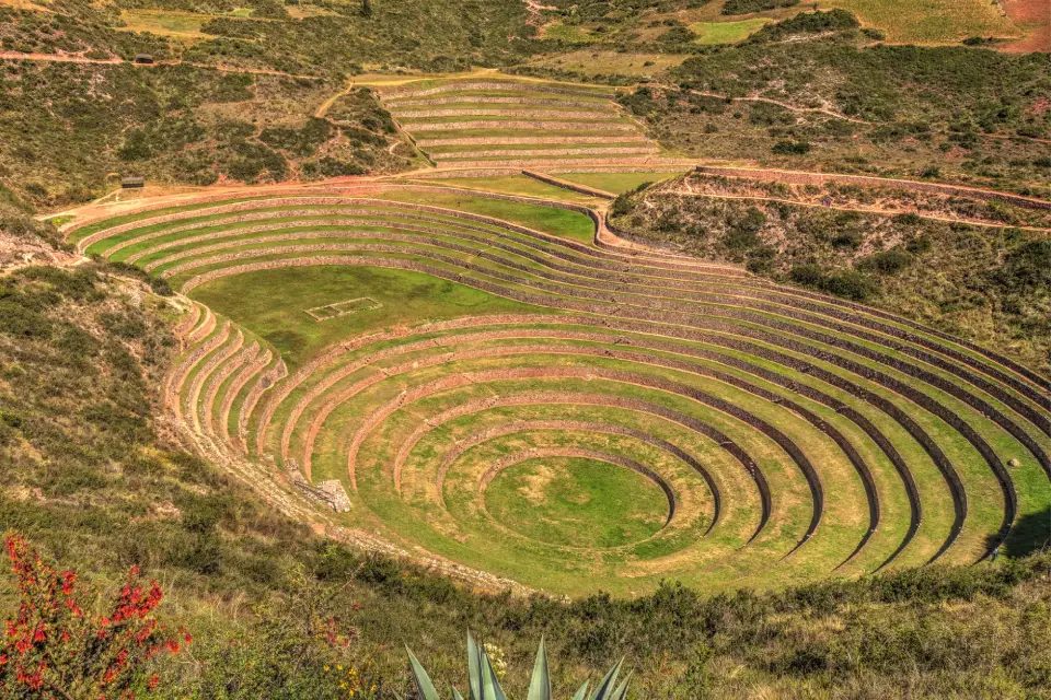 Moray