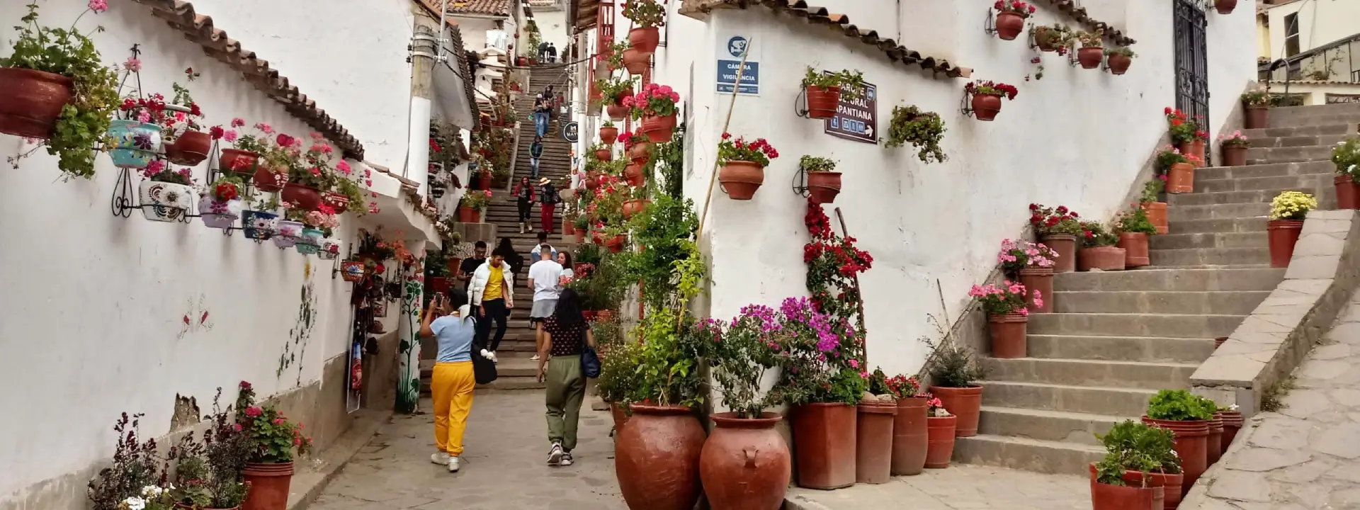 calle Siete Borreguitos