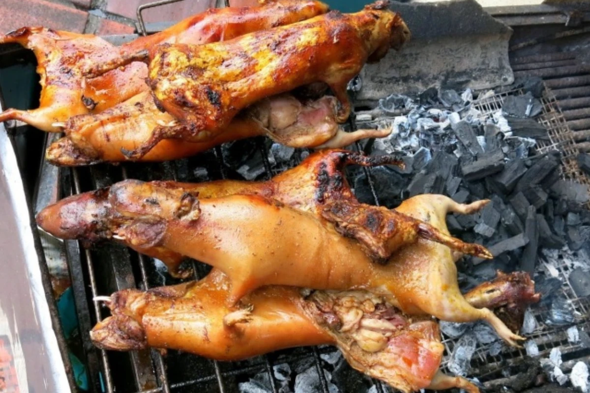 Cuyes asándose sobre brasas hasta quedar dorados