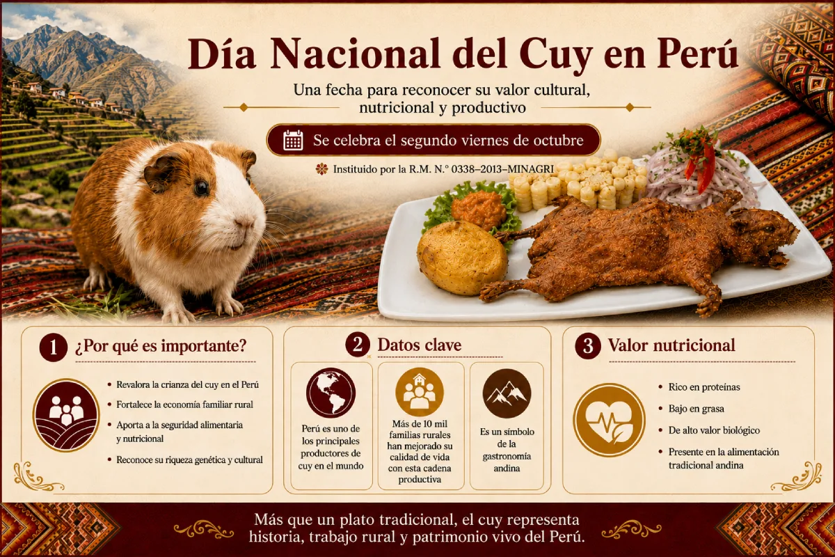 Infografía sobre el Día Nacional del Cuy en Perú, con un cuy, un plato tradicional y datos sobre su valor cultural y alimenticio
