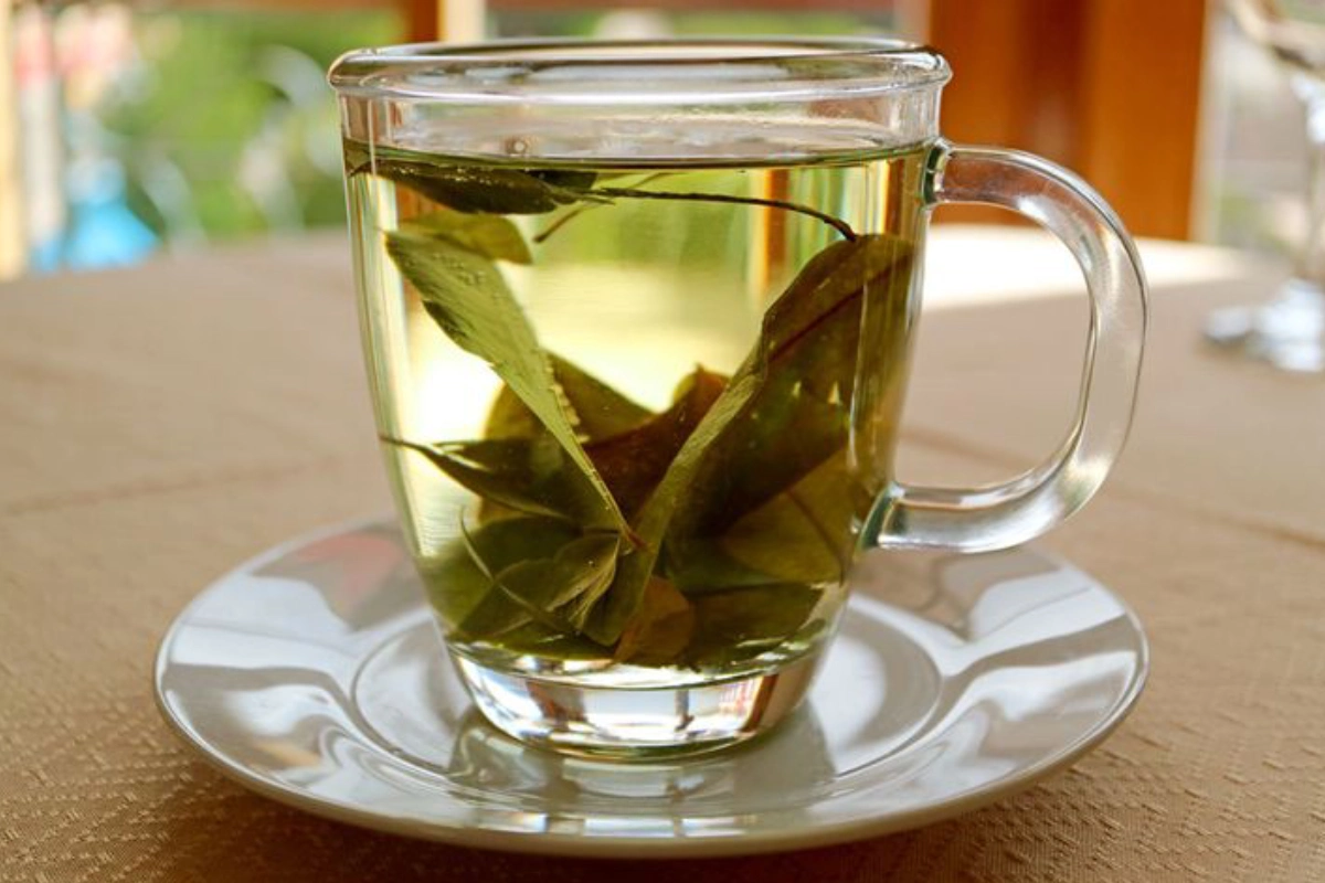 Mate de coca