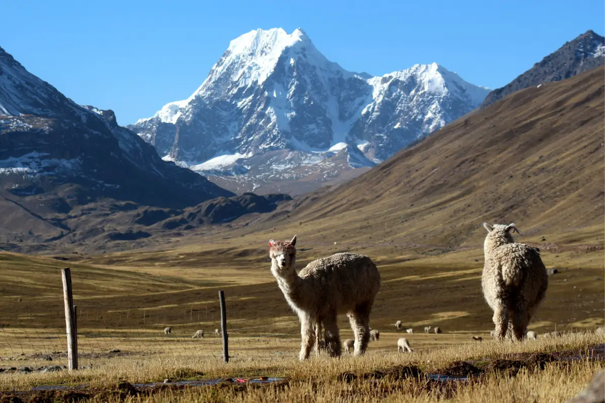 Ausangate con su cima cubierta de nieve, rodeado de montañas | Trekero
