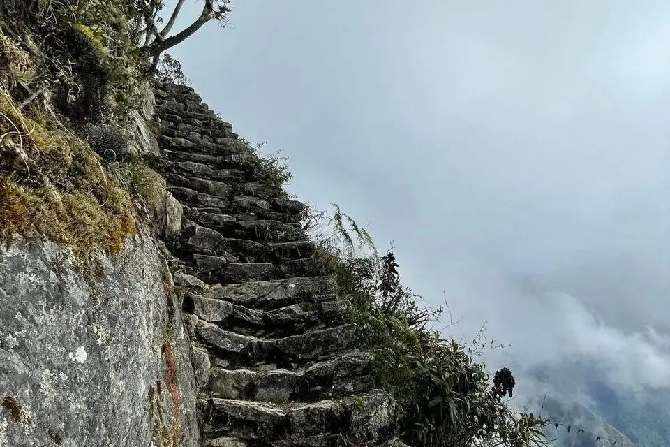 El final del sendero 