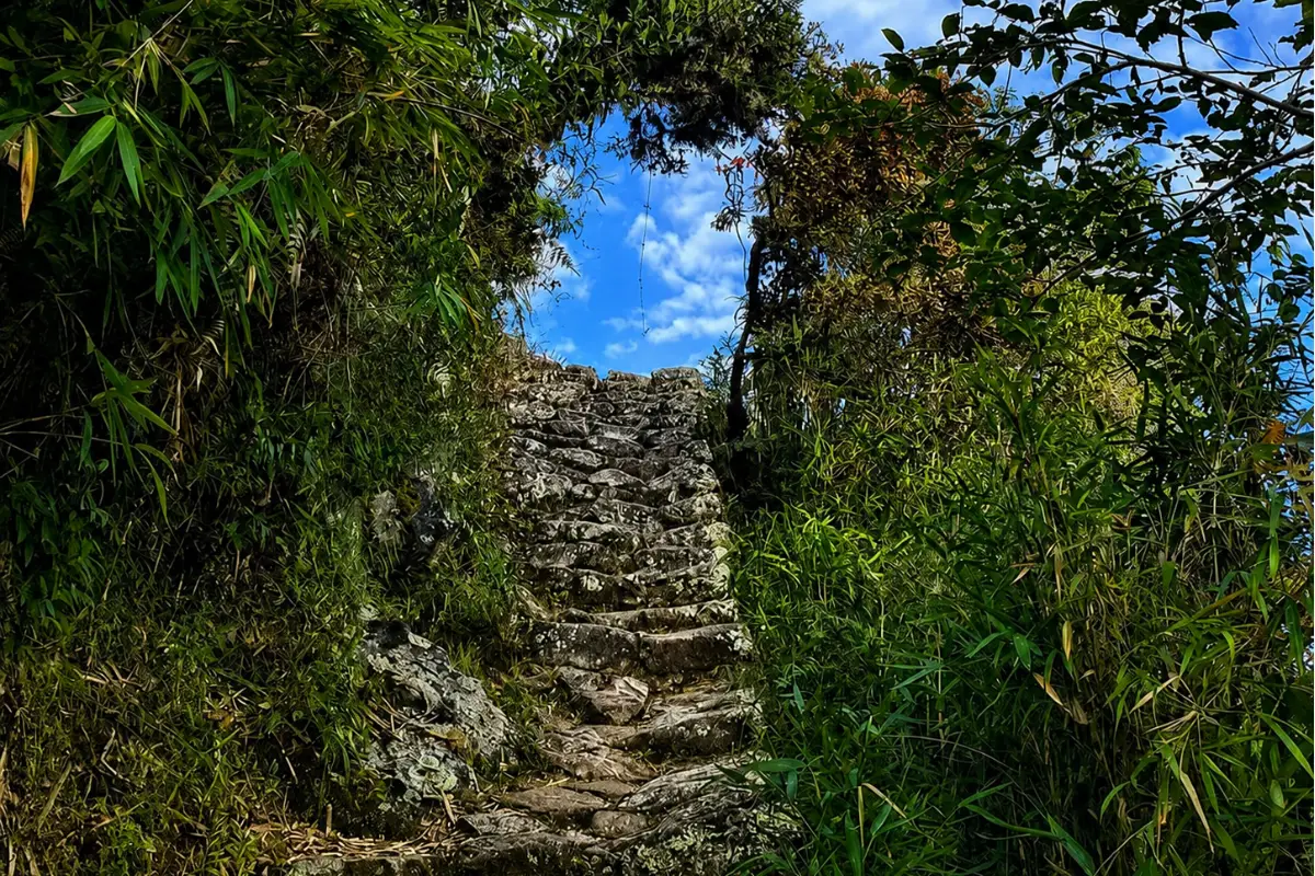 Escaleras de la Montaña Machu Picchu | Trekero