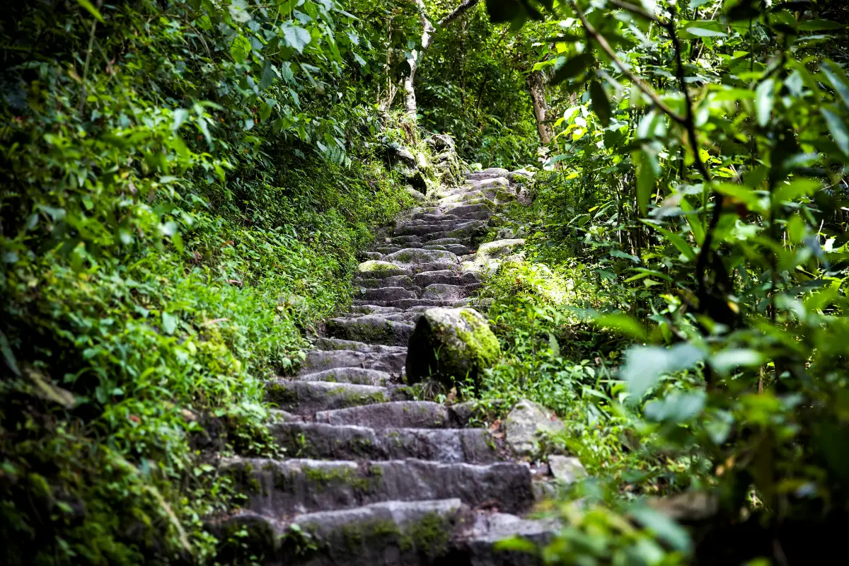 Escalinatas incas hacia Wiñay Wayna | Trekero