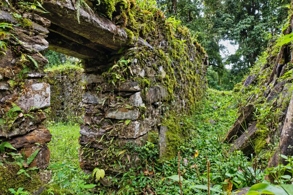 Espíritu Pampa, muros arqueológicos en la selva | Trekero