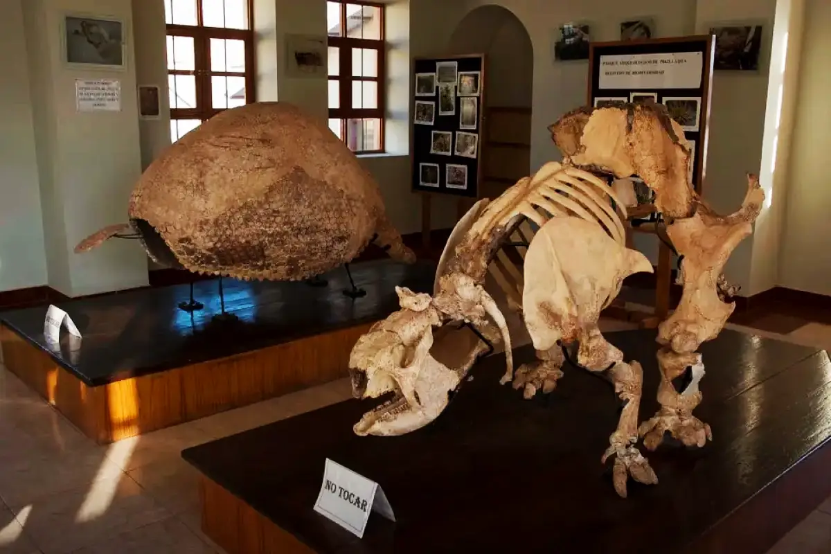 Gliptodonte en la Sala de Exhibición de Pikillaqta | Trekero
