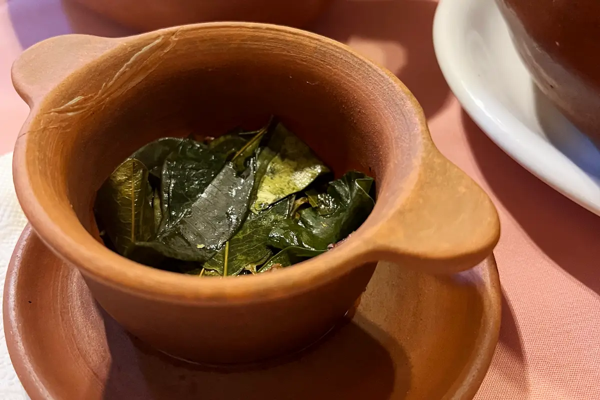 Infusión de coca para el mal de altura | Trekero