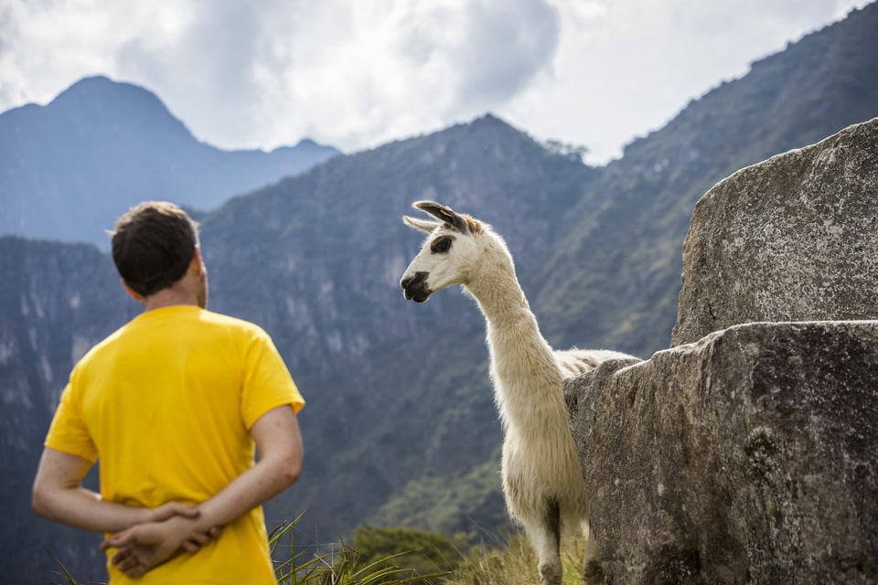 Best Time to Visit Machu Picchu