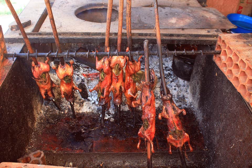 Cuy in Pisac