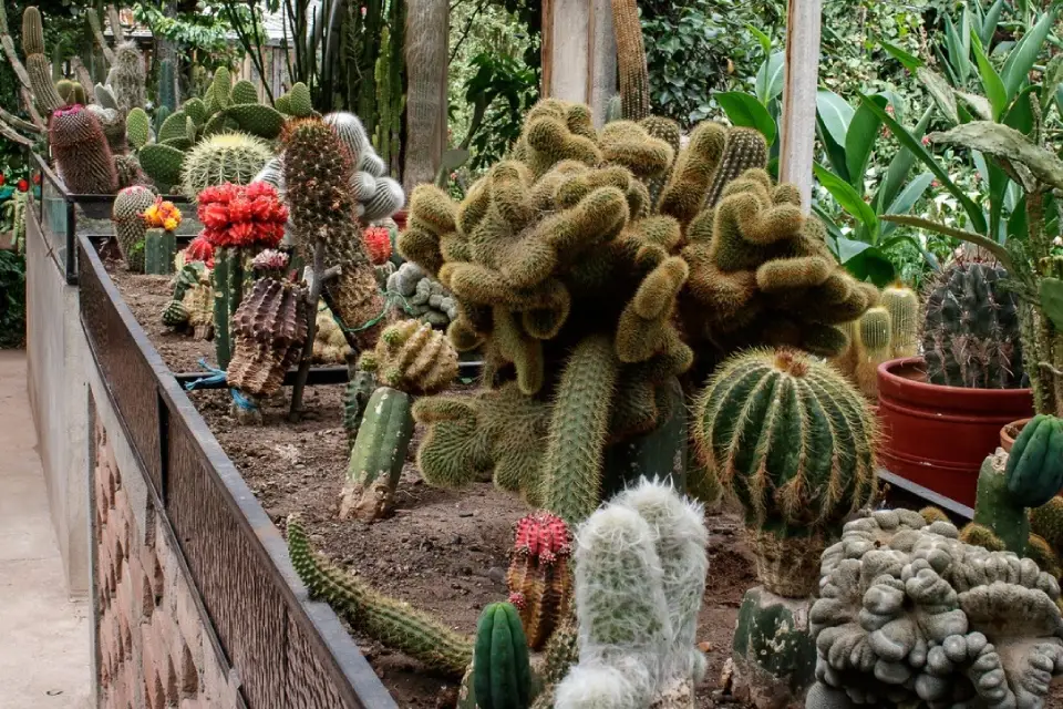 Jardín Botánico de Pisac