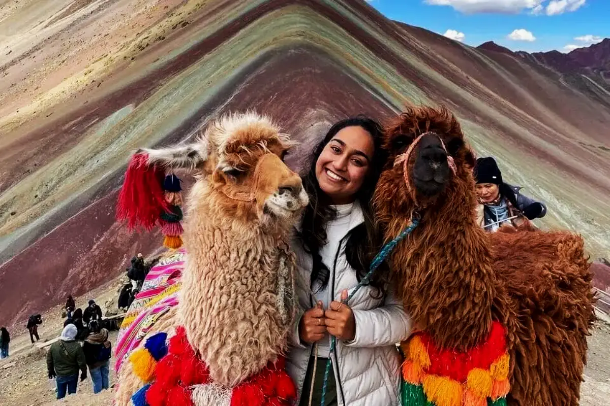 Vista de llamas en vinincunca | Trekero