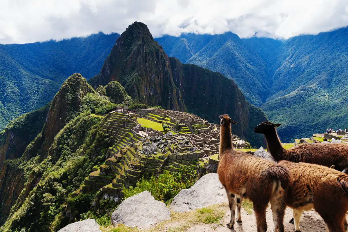 Dia lluvioso en la ciudadela de Machu Picchu | Trekero