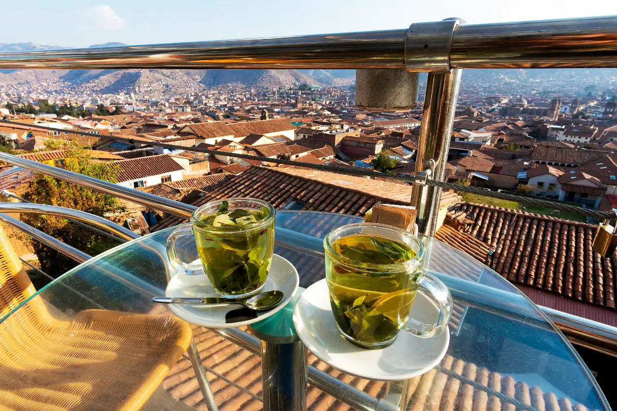 Mate de coca con vista a Cusco | Trekero