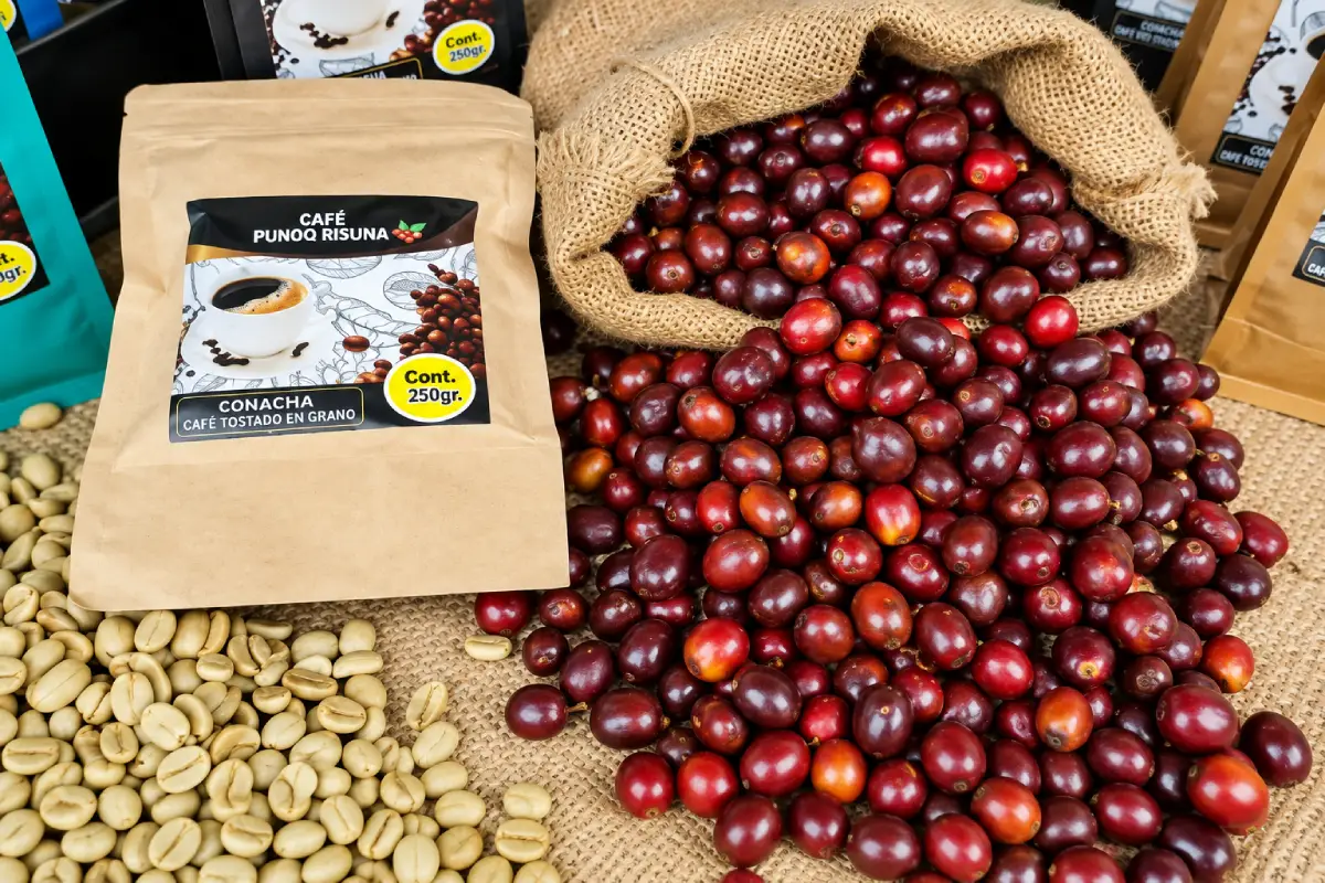 Producción de café en Quillabamba | Trekero