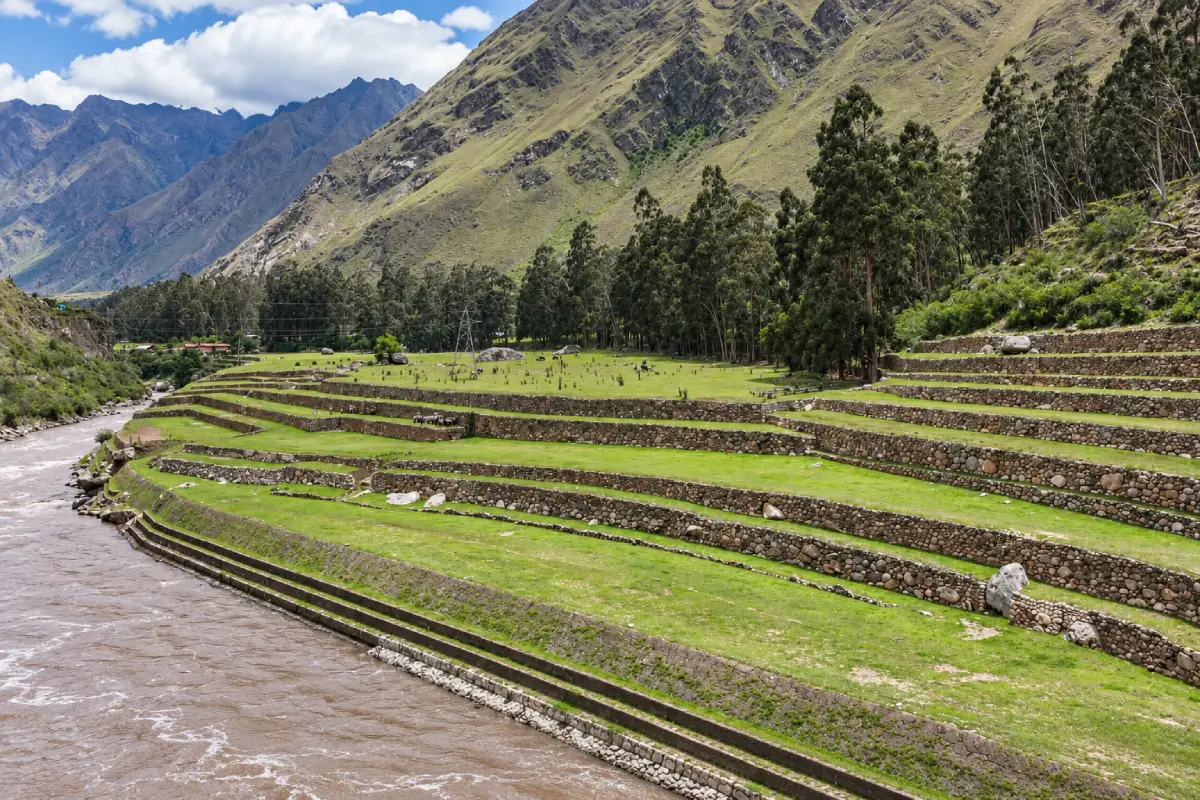Qoriwayrachina junto al río Urubamba | Trekero