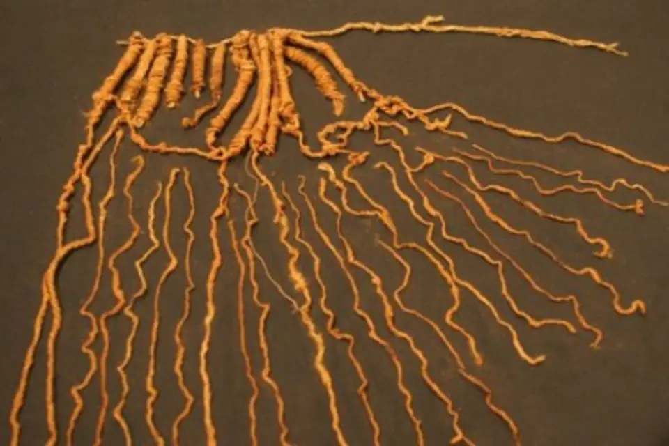 Quipu de la cultura Caral