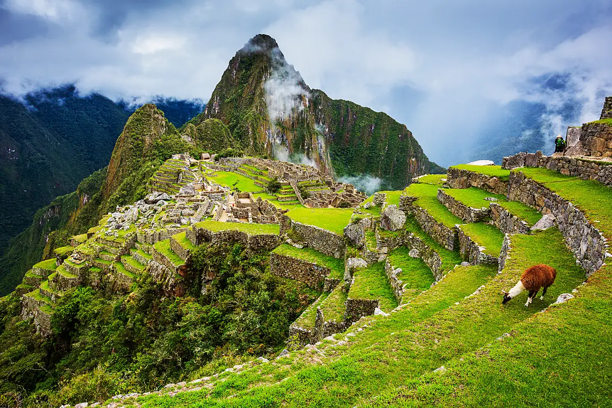 Santuario Histórico de Machu Picchu | Trekero