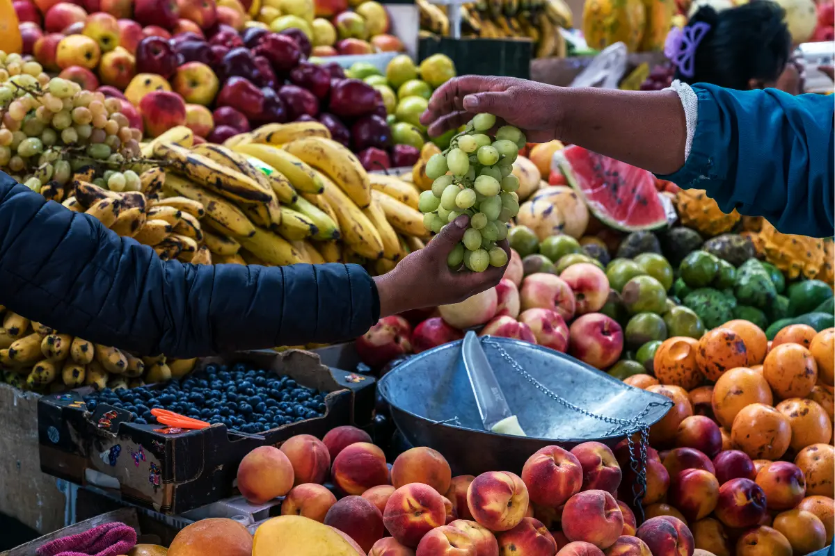 Frutas frescas en el mercado | Trekero