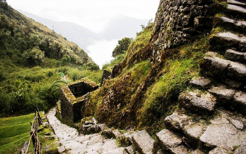 Escaleras incas entre el bosque nuboso del Camino Inca de Lujo | Trekero