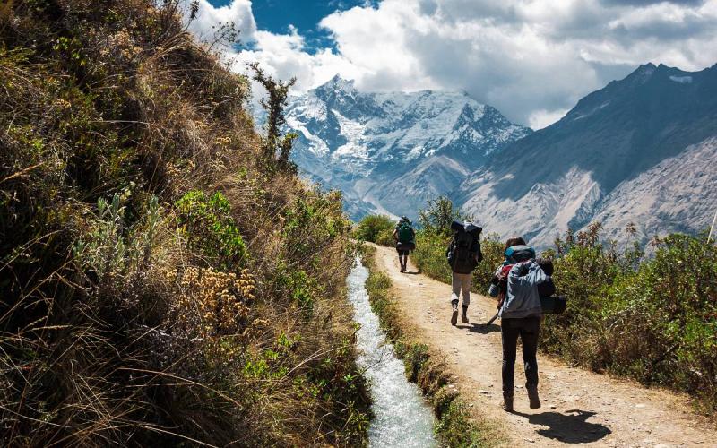 Sendero de montaña hacia el bosque nuboso de Salkantay | Trekero