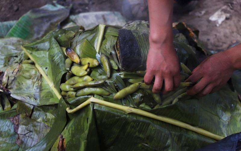 Pachamanca tradicional con habas y hojas recién descubierta | Trekero