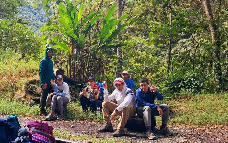Bosque nuboso en el camino Salkantay hacia Machu Picchu | Trekero