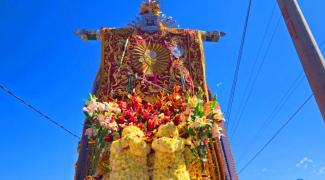 Señor de Torrechayoc | Trekero