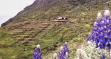 Huchuy Qosqo trek to Machu Picchu 3 days