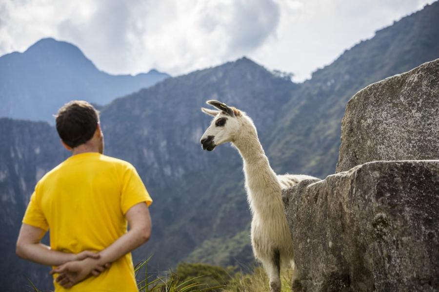  Sacred Valley and Machu Picchu