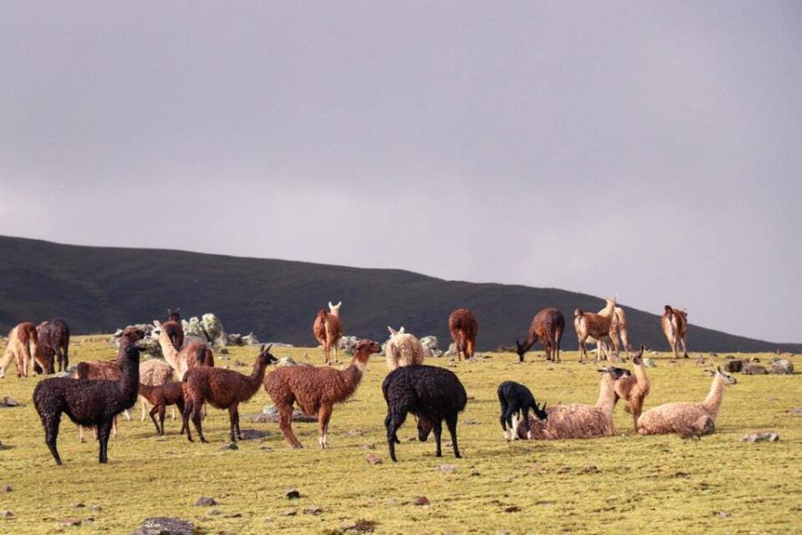 Huchuy Qosqo trek to Machu Picchu 3 days